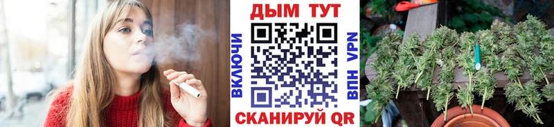 Шишки марихуана тримм  Туринск 